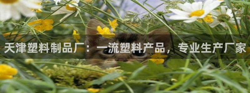 1593太陽集團城所有網(wǎng)址：天津塑料制品廠：一流塑料產(chǎn)品，專