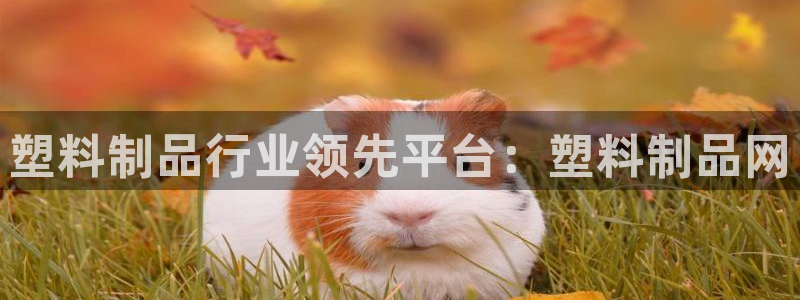 太陽集團游戲城舊版2.1.9：塑料制品行業(yè)領(lǐng)先平臺：塑料制品