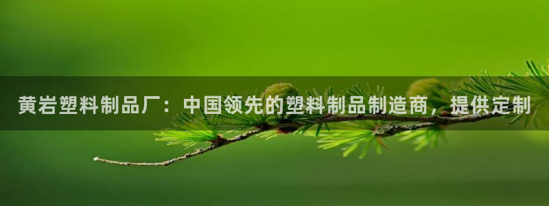 太陽集團在中國合法嗎：黃巖塑料制品廠：中國領先的塑料制品制造