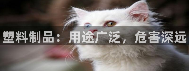 太陽集團控股有限公司官網香港：塑料制品：用途廣泛，危害深遠