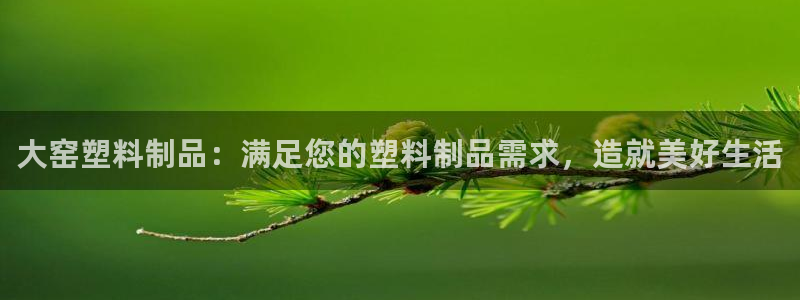 太陽成集團網(wǎng)站5：大窯塑料制品：滿足您的塑料制品需求，造就美