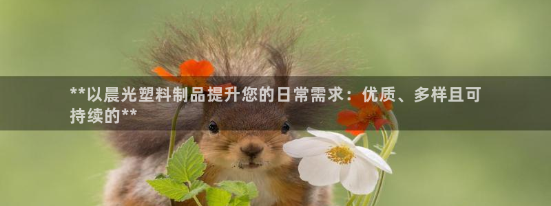 太陽集團(tuán)的老總是誰：**以晨光塑料制品提升您的日常需求：優(yōu)質(zhì)