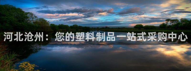 太陽成集團老板照片：河北滄州：您的塑料制品一站式采購中心