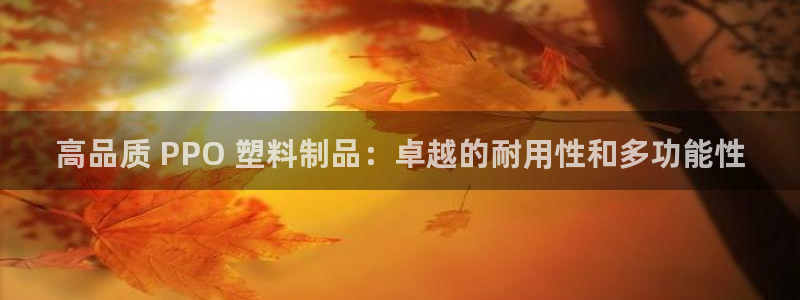 太陽(yáng)集團(tuán)電子游戲如何賺錢(qián)：高品質(zhì) PPO 塑料制品：卓越的耐