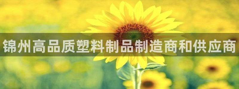太陽成集團(tuán)老板是誰：錦州高品質(zhì)塑料制品制造商和供應(yīng)商