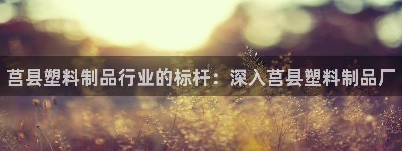 太陽成下載：莒縣塑料制品行業(yè)的標桿：深入莒縣塑料制品廠
