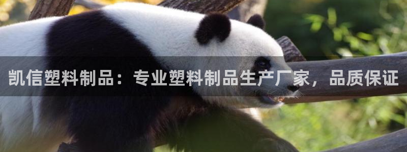 太陽集團tcy8722電子游戲：凱信塑料制品：專業(yè)塑料制品生