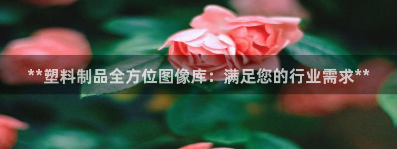 太陽集團是怎樣一個公司：**塑料制品全方位圖像庫：滿足您的行