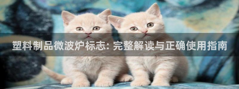 太陽老板身價：塑料制品微波爐標志: 完整解讀與正確使用指南
