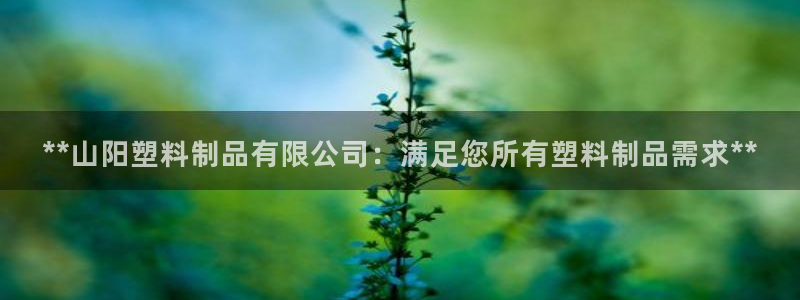 太陽游戲視頻：**山陽塑料制品有限公司：滿足您所有塑料制品需