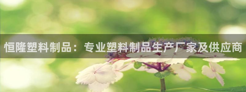 太陽集團(tuán)下載鏈接怎么下載：恒隆塑料制品：專業(yè)塑料制品生產(chǎn)廠家