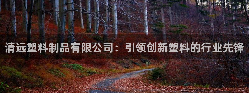 太陽(yáng)成集團(tuán)com：清遠(yuǎn)塑料制品有限公司：引領(lǐng)創(chuàng)新塑料的行業(yè)先