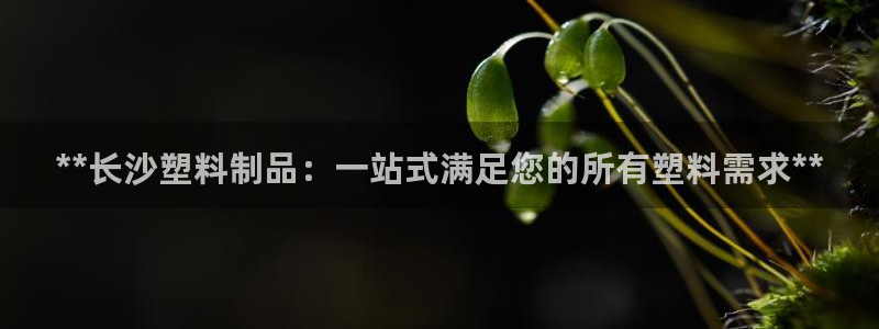 太陽誠集團(tuán)有限公司是國企嗎：**長沙塑料制品：一站式滿足您的