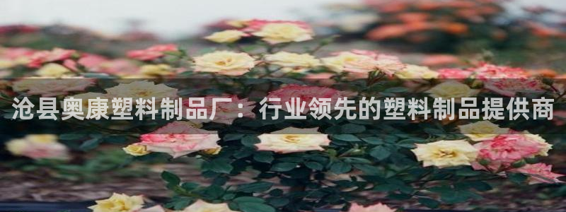 太陽集團電子游戲不朽的浪漫視頻：滄縣奧康塑料制品廠：行業(yè)領(lǐng)先