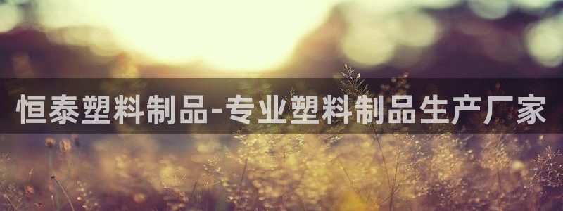太陽(yáng)董事長(zhǎng)：恒泰塑料制品-專業(yè)塑料制品生產(chǎn)廠家