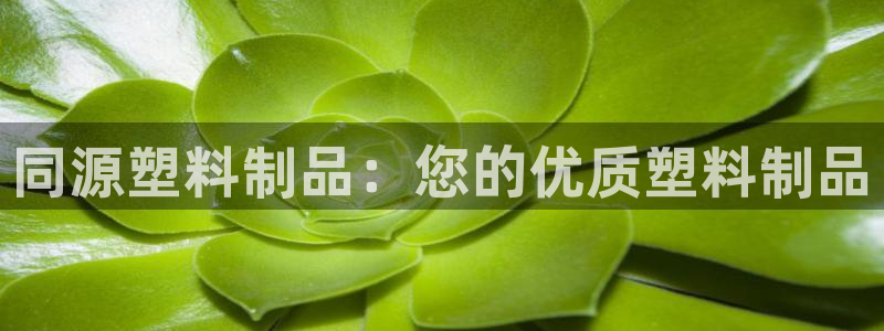 44118太陽成城集團(tuán)：同源塑料制品：您的優(yōu)質(zhì)塑料制品