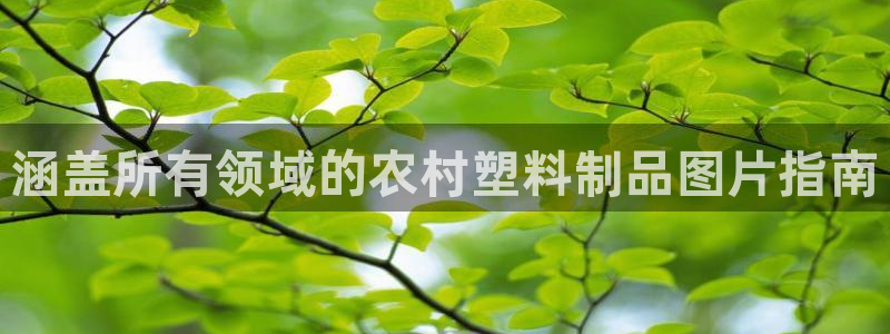 太陽集團怎么樣：涵蓋所有領域的農村塑料制品圖片指南