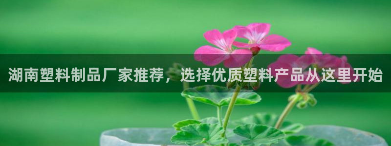 太陽成集團古天樂：湖南塑料制品廠家推薦，選擇優(yōu)質(zhì)塑料產(chǎn)品從這