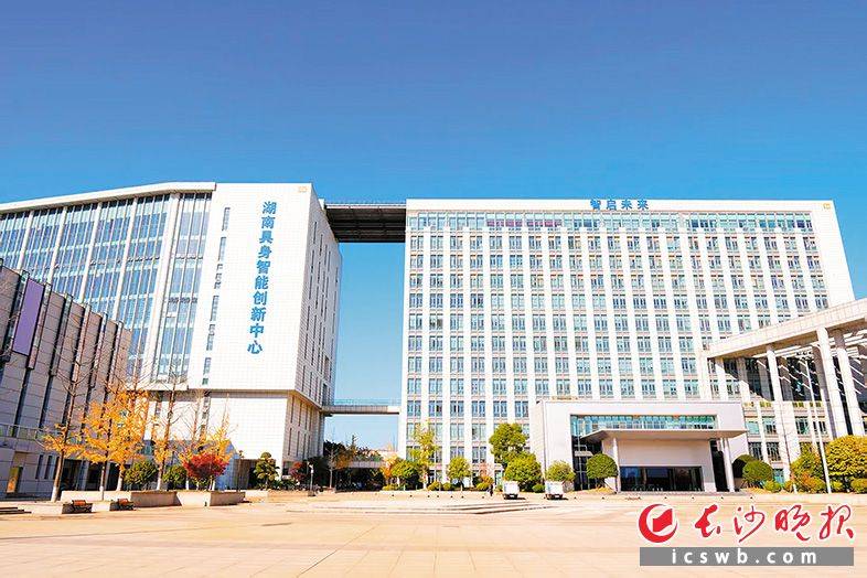 潮涌“人工智能+” 逐浪新質(zhì)生產(chǎn)力